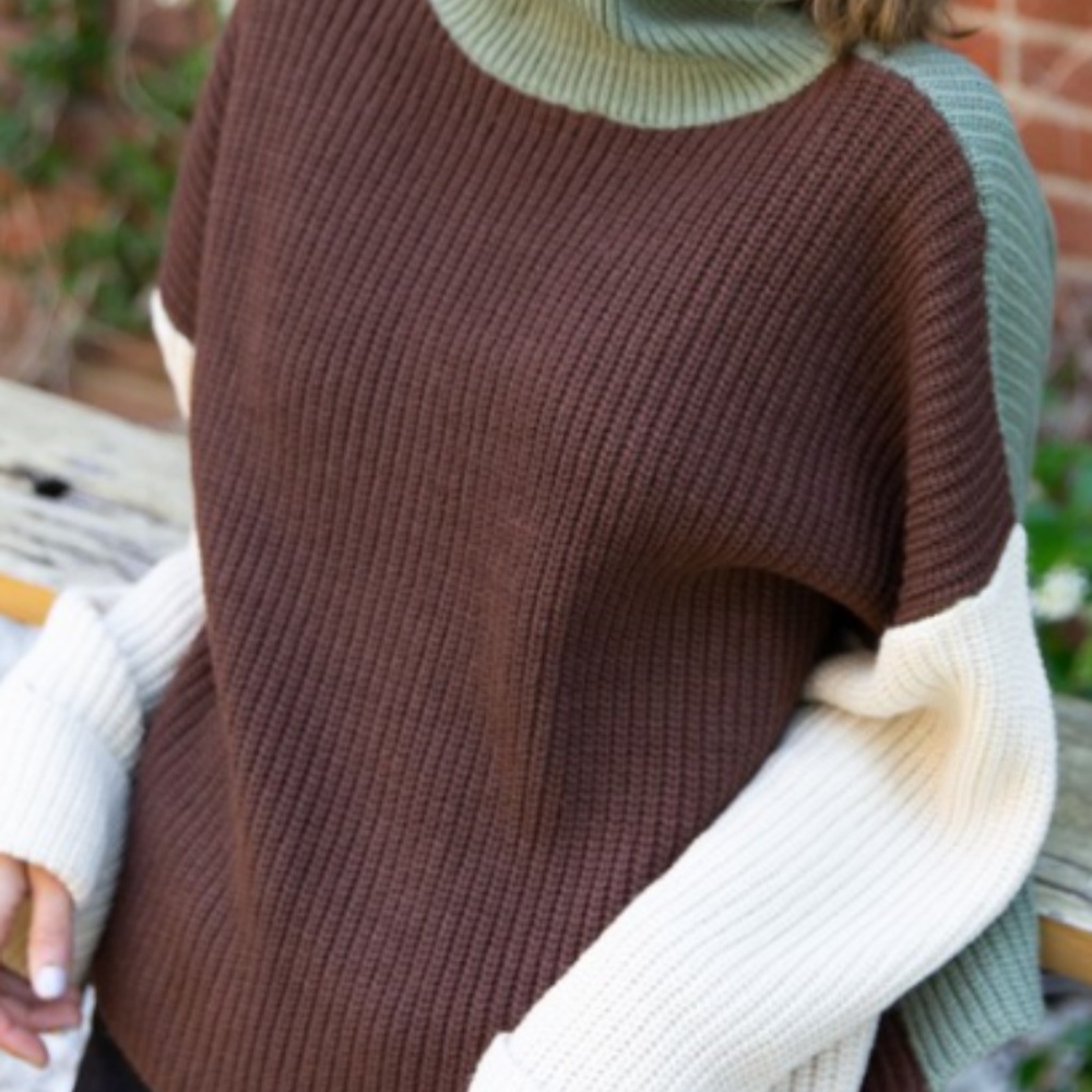 Colorblock Turtleneck - Picture 2 of 4